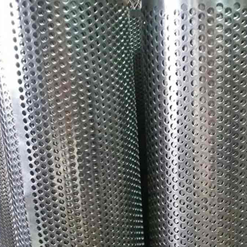 Tôn Đột Lỗ D4